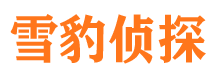 鱼峰市侦探调查公司